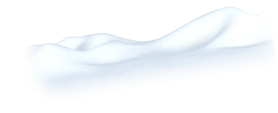 neve decorativa